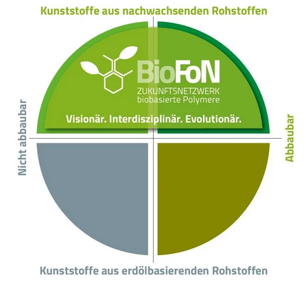 Zukunftsnetzwerk BioFoN e.V. - Diagramm