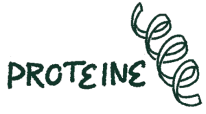 Dialoggruppe Proteine - Logo