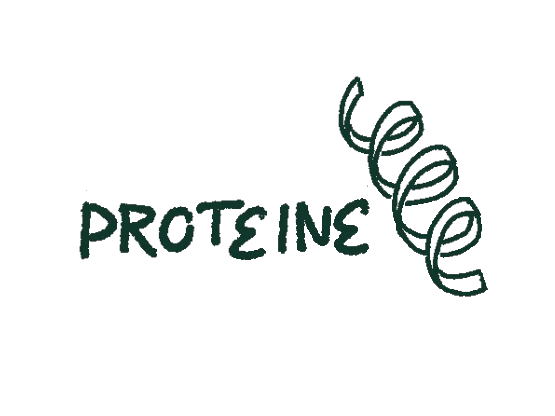 Dialoggruppe Proteine