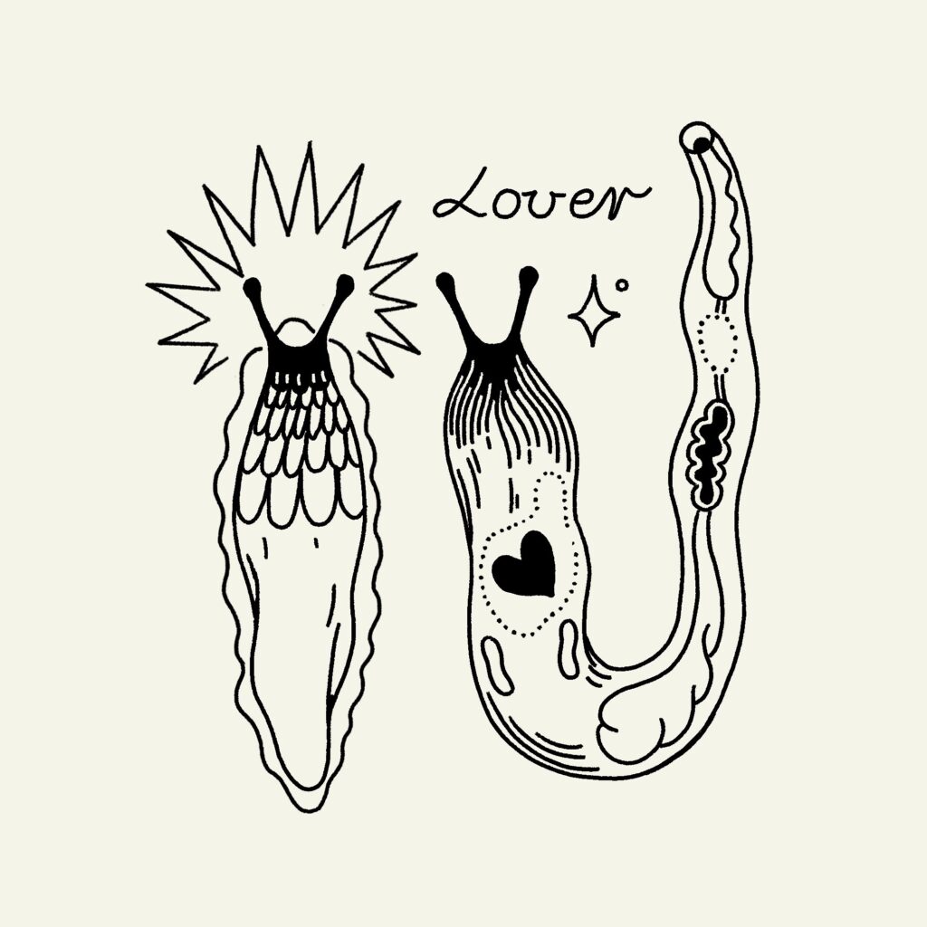 Eva Feuchter Illustration ''Lover''